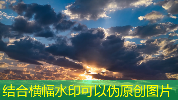男性室内健身动作全身燃脂