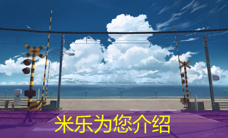 米乐为您介绍：预制型塑胶跑道结构